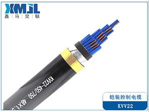 KVV22/KVVP22铠装控制电缆